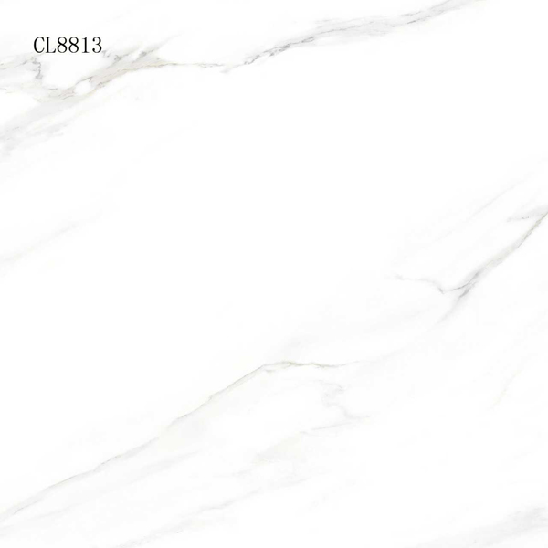 CL8813