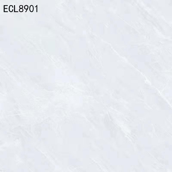 ECL8901